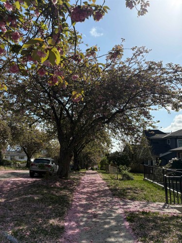 2972 7Th Avenue E, Vancouver, BC 