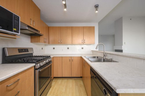 419-801 Klahanie Drive, Port Moody, BC 