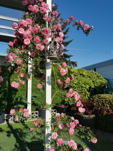 6593 Lochdale Street, Burnaby, BC 