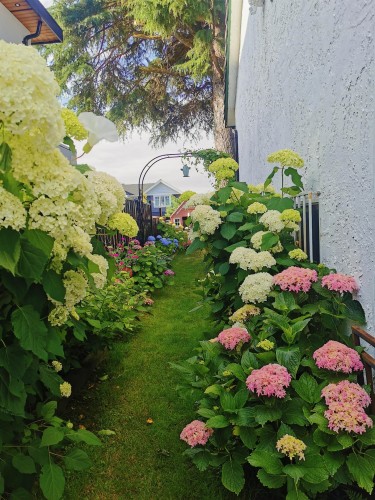 6593 Lochdale Street, Burnaby, BC 