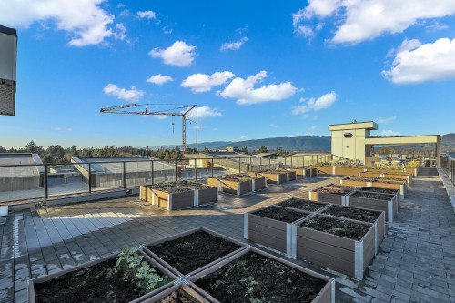 320-12109 223 Street, Maple Ridge, BC 