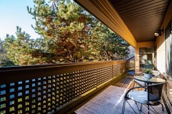 206-333 Wethersfield Drive  Vancouver, BC V5X 4M9