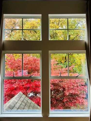 3241 6Th Avenue W, Vancouver, BC 