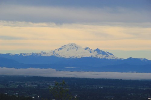 38-1751 Paddock Drive, Coquitlam, BC 