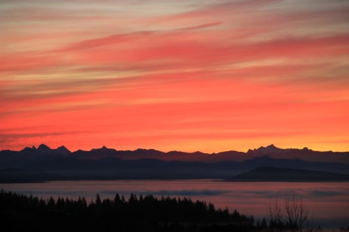 38-1751 Paddock Drive, Coquitlam, BC 