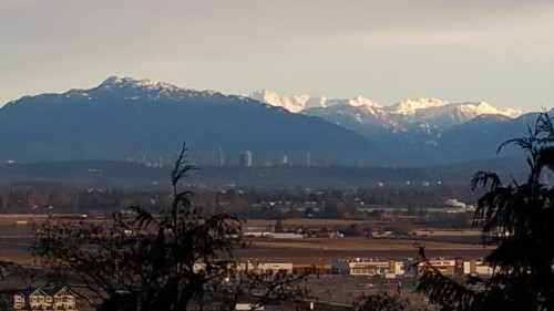 1223 Pacific Drive, Delta, BC 