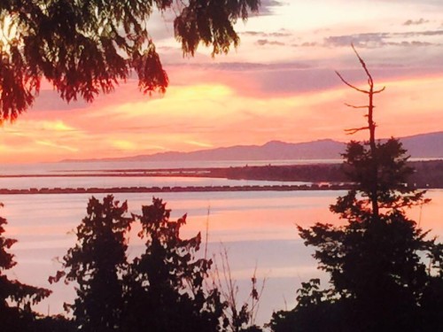 1223 Pacific Drive, Delta, BC 