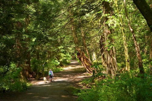 1117 Miller Road, Bowen Island, BC 