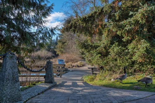 5693 Porpoise Bay Road, Sechelt, BC 