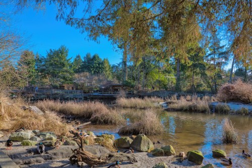 5693 Porpoise Bay Road, Sechelt, BC 