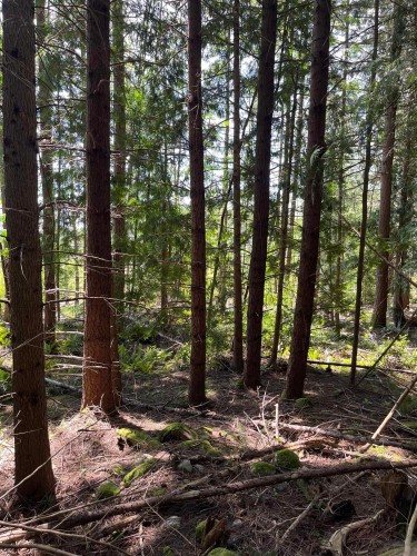 Dl 1312 Sullivan Road, Roberts Creek, BC 