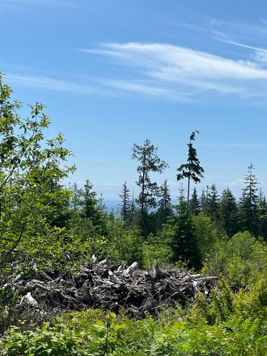 Dl 1312 Sullivan Road, Roberts Creek, BC 