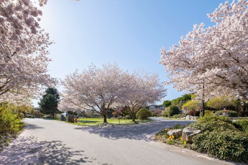 4987 Meadfeild Wynd, West Vancouver, BC 