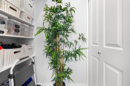 203-2229 Atkins Avenue, Port Coquitlam, BC 