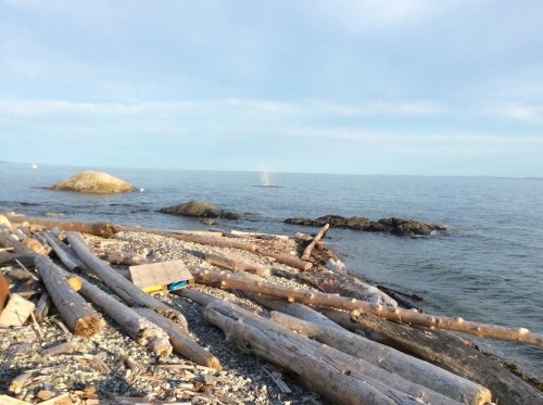 1537 Mccullough Road, Sechelt, BC 