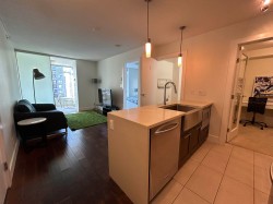 1709-888 Homer Street  Vancouver, BC V6B 0H7