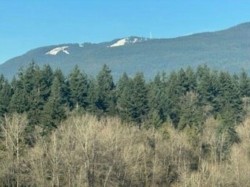 909-909 Seylynn Crescent  North Vancouver, BC V7J 0B5