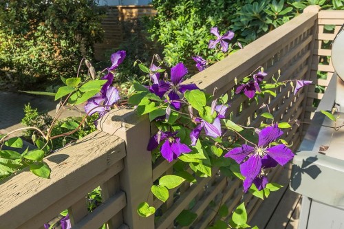 3340 15Th Avenue W, Vancouver, BC 