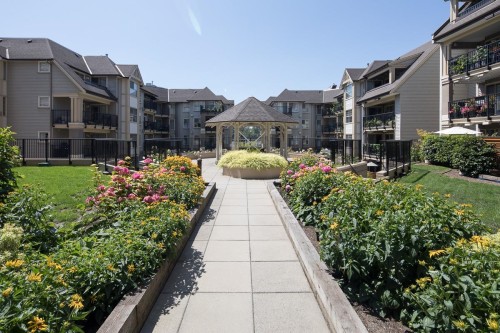 502-214 Eleventh Street, New Westminster, BC 