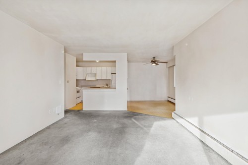 205-707 Hamilton Street, New Westminster, BC 