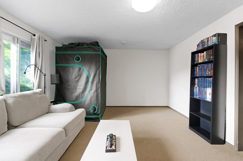 11829 218 Street, Maple Ridge, BC 