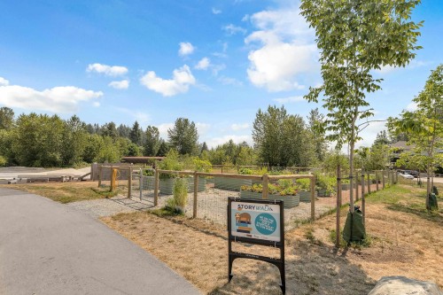 25-13819 232 Street, Maple Ridge, BC 