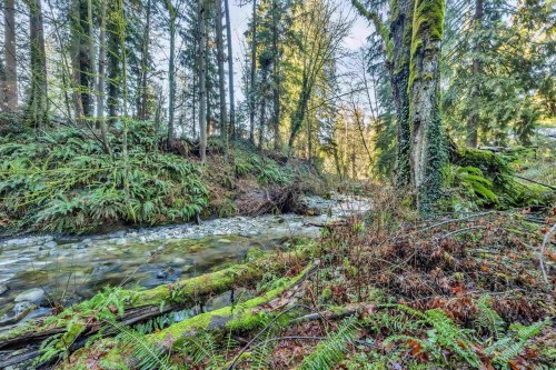 430 Macbeth Crescent, West Vancouver, BC 