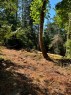Lot 2 Churchill Road, Salt Spring Island, BC 
