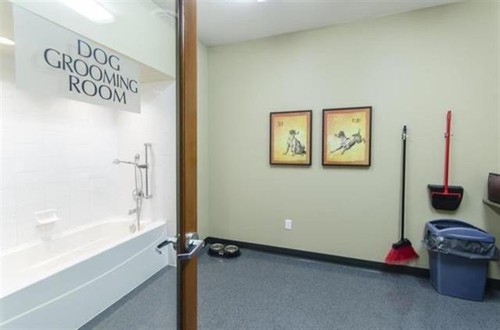 402-3082 Dayanee Springs Boulevard, Coquitlam, BC 