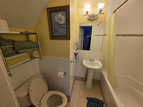 387 13Th Avenue W, Vancouver, BC 