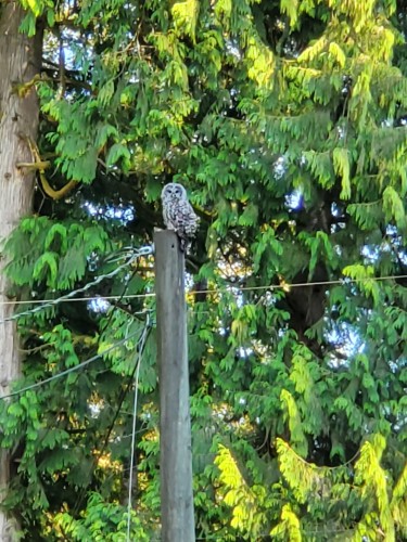 25855 112 Avenue, Maple Ridge, BC 