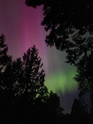 25855 112 Avenue, Maple Ridge, BC 