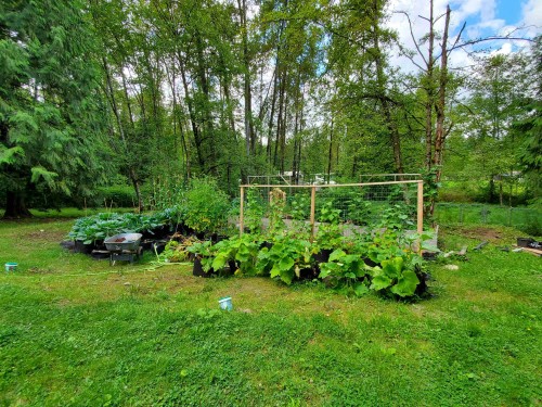 25855 112 Avenue, Maple Ridge, BC 