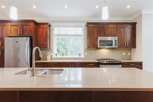 53-11461 236 Street, Maple Ridge, BC 