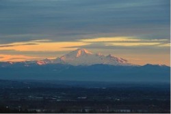 38-1751 Paddock Drive  Coquitlam, BC V3E 3M2