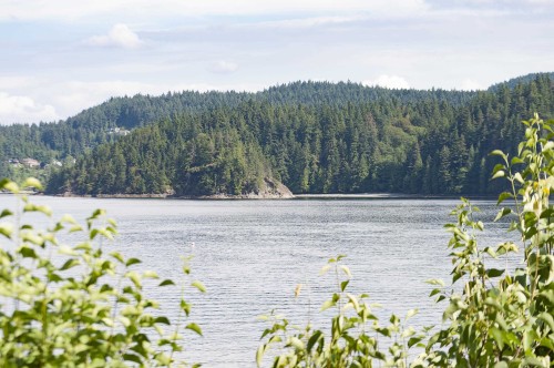 5293 Indian River Drive, North Vancouver, BC 