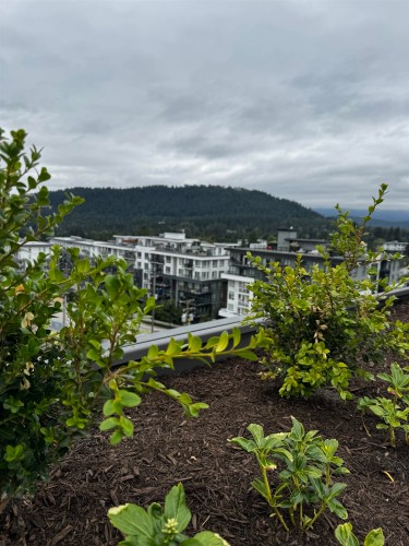 307-723 Grover Avenue, Coquitlam, BC 