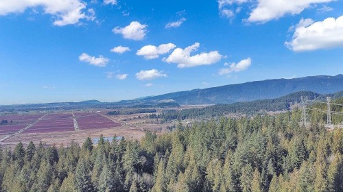23287 141 Avenue, Maple Ridge, BC 