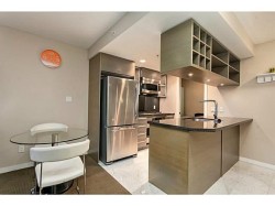 2402-833 Seymour Street  Vancouver, BC V6B 0G4
