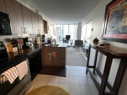 1709-610 Granville Street  Vancouver, BC V6C 3T3