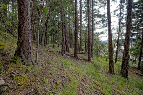 240 Old Scott Road, Salt Spring Island, BC 