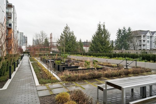 420-55 Klahanie Drive, Port Moody, BC 