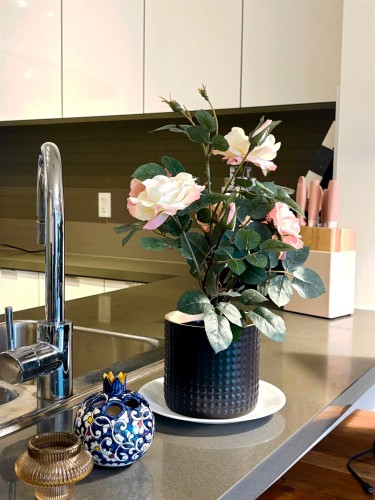 309-3107 Windsor Gate, Coquitlam, BC 