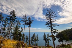 266 Shore Lane  Bowen Island, BC V0N 1G2