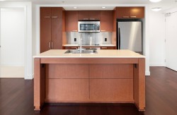 608-1255 Seymour Street  Vancouver, BC V6B 0H1