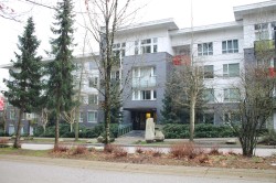303-9250 University High Street  Burnaby, BC V5A 0B3