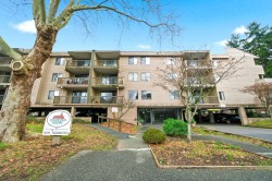 310-8511 Ackroyd Road  Richmond, BC V6X 3E7