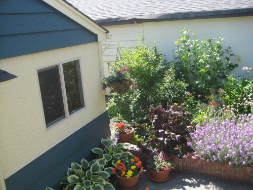 936 37Th Avenue W, Vancouver, BC 