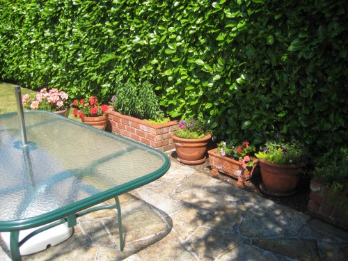 936 37Th Avenue W, Vancouver, BC 