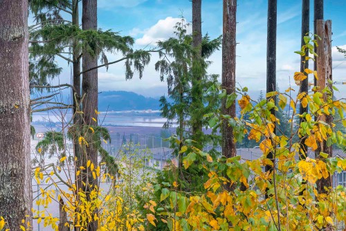 111-3525 Chandler Street, Coquitlam, BC 